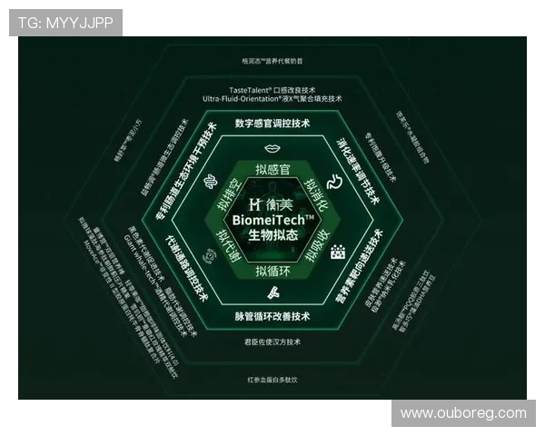 星辉平台：打造多元化内容生态的创新引擎